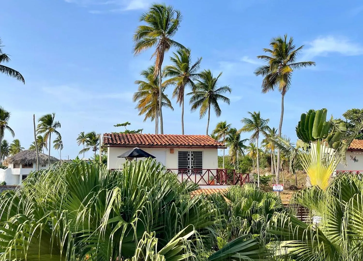 21 Palms Hotel Las Galeras 3*,  Dominicaanse Republiek